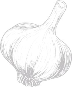 Fresh garlic bulb—symbol for easy garlic recipes at Garlic Shop