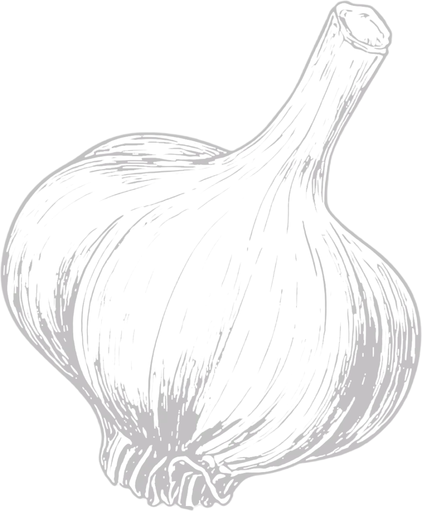 Fresh garlic bulb—symbol for easy garlic recipes at Garlic Shop