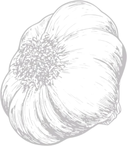 Garlic flower line art illustration